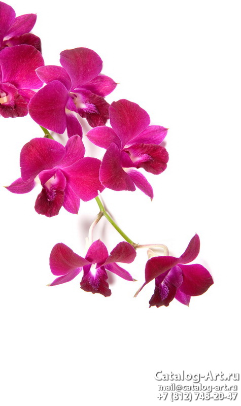 картинки для фотопечати на потолках, идеи, фото, образцы - Потолки с фотопечатью - Розовые орхидеи 42